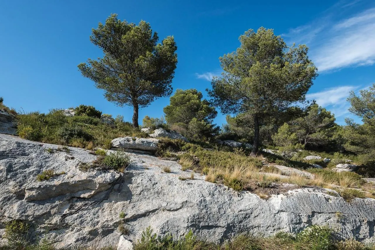 Hotel Mas Vidau Porte Des Alpilles Saint-Étienne-du-Grès 0*,  法国